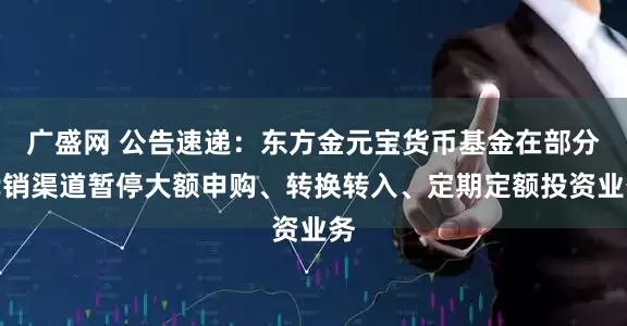 广盛网 公告速递：东方金元宝货币基金在部分代销渠道暂停大额申购、转换转入、定期定额投资业务