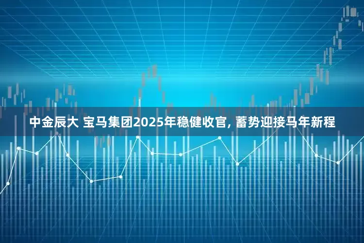 中金辰大 宝马集团2025年稳健收官, 蓄势迎接马年新程